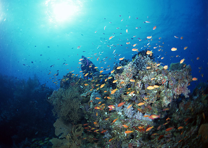 潛水有無身體條件和年齡限制？