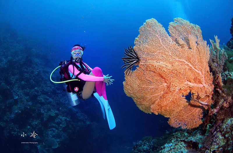 一起來保護(hù)我的海洋