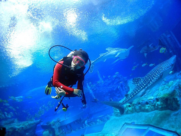 潛在水里，學(xué)做一條靜靜的魚