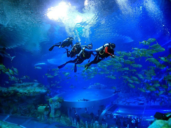 潛在水里，學(xué)做一條靜靜的魚