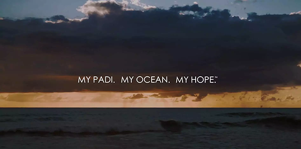 【潛水這艘賊船，這次開往上帝的花園】文章轉自/三聯生活周刊