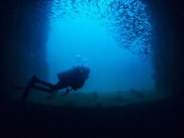 潛水拍照新姿勢，放下你的剪刀手，我們來這樣拍