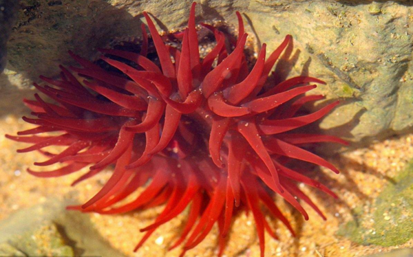 等指?？? title=