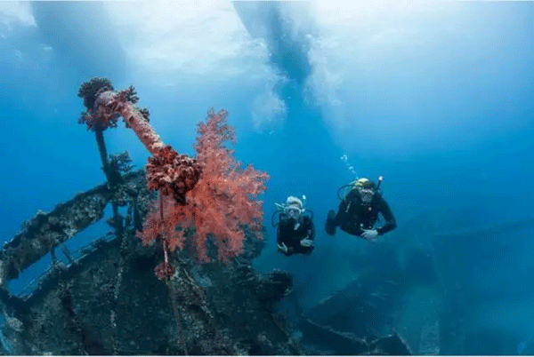 成為潛水員之前的你，是不是也問過這些問題？