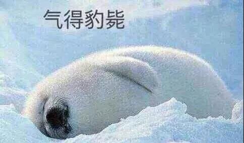 原來你是這樣的潛水員妹子！