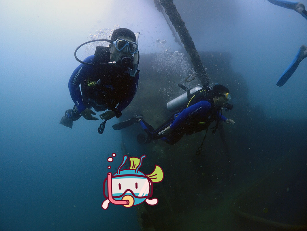 除了俯瞰大地的飛翔，還有潛入海底的翱翔。