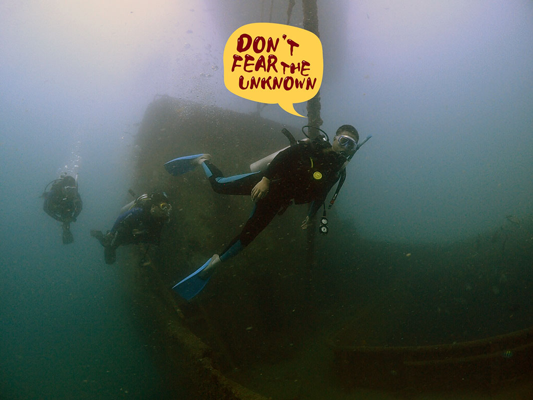 除了俯瞰大地的飛翔，還有潛入海底的翱翔。