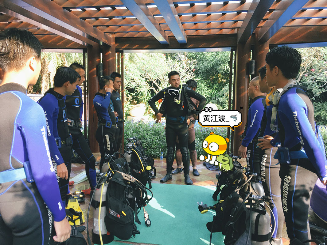 除了俯瞰大地的飛翔，還有潛入海底的翱翔。